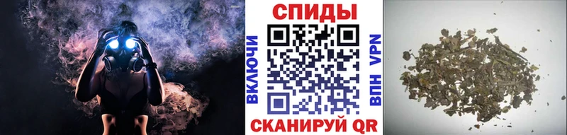 Бутират 1.4BDO  где продают наркотики  Снежногорск 