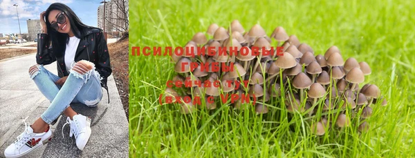 каннабис Алзамай