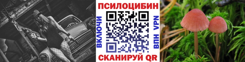 Галлюциногенные грибы мицелий Снежногорск